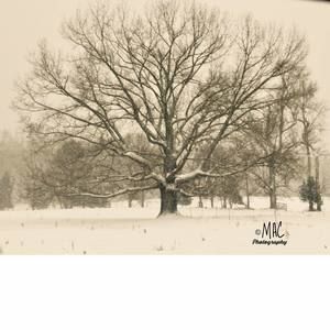 Meet your Posher, Mac